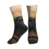 BeNtli Crew Socks,Compression Socks Sports Socks Calf Socks Yoga Socks For Unisex 40 cm,Affenpinscher Family Puppies Black Dogs Monkey