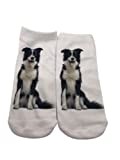 FUREVER GIFTS Border Collie Dog Unisex Trainer Socks One Size Polyester 1 Pair