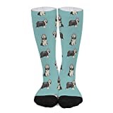 Gift Socks 50Cm Bearded Collie Dog Collie Simple Dog Blue Ladies Socks Fancy Novelty Fun Socks Knitting Thick Socks For Mens, Womens, Winter