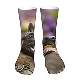 KONGNY Belgian Malinois Pets Dogs Belgian Malinois Crew Socks Compression Socks Casual Novelty Sports Socks 40 cm Long For Unisex