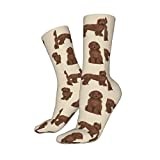 Work Socks Labradoodle Dog Chocolate Labradoodles Design Tan Trainer Socks Recycled Athletic Socks Anti Bliste Office Socks For Outdoor Baseball Basketball 40Cm