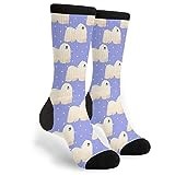 Men Women Walking Socks Puli Dog Cartoon Sports Socks Anti Blister Hiking Socks Funky Workout Socks For Running Trekking Camping