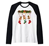 Norwich Terrier In Sock Xmas Reindeer Santa ELF Dog Raglan Baseball Tee