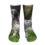 KONGNY English Setter Lawn Pets Dogs English Setter Crew Socks Compression Socks Casual Novelty Sports Socks 40 cm Long For Unisex