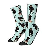 Fun Socks 40cm Black And Tan Coonhounds Giftwrap Winter Socks Cool Crazy Mens Socks Multi Coloured Boot Socks For Christmas, Hiking, Womens