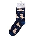 Animal Crackers Ladies Socks (Goldendoodle)