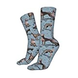 Sports Socks Mexican Hairless Xoloitzcuintle Dog Men’S Socks Funky Athletic Socks Wicking Trainer Socks For Everyday Walking Work 40Cm
