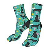 931 Walking Socks Black Lab Labrador Retriever Beach Summer Dog Breed Teal Sports Socks Funky Work Socks Comfortable Office Socks For Hiking Football Camping