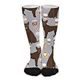 Work Socks 50Cm Australian Kelpie Cute Coffees Cute Coffee Dog Australian Kelpies Dog Winter Socks Unique Mens Socks Multi Coloured Ski Sock For Hiking, Winter, Aldult