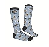 Paranoid Fish Border Terrier Socks One Size UK 3 To 10 All Over Print