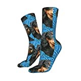 Running Socks Gordon Setter Puppy Head Trainer Socks Anti-Slip Athletic Socks Funky Office Socks For Outdoor Hiking Camping 40Cm