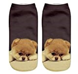 FUREVER GIFTS Chow Chow Dog Unisex Trainer Socks One Size Polyester 1 Pair