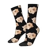KWQDOZF Pomeranian Socks Funny Novelty Crew Socks Gift for Men Women Teen