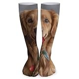 XJLAPWS Crew Socks Afghan Hound Dog And Rose Flower Soft Socks Crew Sock Stockings Long Socks For Men Women