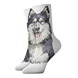 AOOEDM Finnish Lapphund Portrait Fashion Compression Socks,Performance Polyester Cushioned Athletic Crew Socks, for Running,Athletic