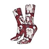 Trainer Socks Chinese Crested Dogs Athletic Socks Breathable Office Socks Sustainable Socks For Baseball Outdoor Hiking 40Cm