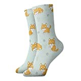 AOOEDM Shiba Inu Akita Fashion Compression Socks,Performance Polyester Cushioned Athletic Crew Socks, for Running,Athletic