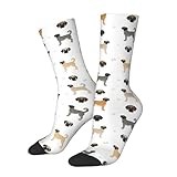 Sport Socks Anatolian Shepherd Dog Casual Socks Breathable Work Socks Novelty Sleeping Socks For Gym Basketball Running