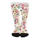Work Socks 50Cm Tibetan Spaniel Flower Dog Flower Dog Cute Dog Cream Dress Socks Premium Long Socks Cute Ladies Socks For Mens, Christmas, Womens