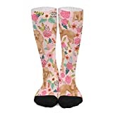 Ski Sock 50Cm Toy Poodle Apricot Toy Poodle And Flower Design Light Pink Work Socks Cute Mens Socks Cushion Long Socks For Hiking, Aldult, Great Gift