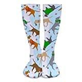 Crew Athletic Socks Trotting American Staffordshire Terriers Sport Socks Casual Crew Socks Funny Running Socks For Sport Travel Work 50cm