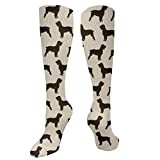 Sport Socks Boykin Spaniel Dog Dogs Boykin Spaniels Dog Crew Athletic Socks Breathable Running Socks Soft Walking Socks For Hiking Sport Work 50cm