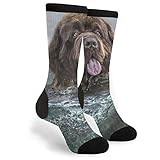 Wpamlrta Newfoundland Underwater Dogs Funny Animals Unisex Adult Fun Cool 3D Print Colorful Athletic Sport Novelty Crew Tube Socks