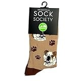 Animal Crackers Ladies English Bulldog design socks, quality cotton mix, great Dog Lover gift (English Bulldog - Womens, UK, Alpha, One Size, Regular, Regular)