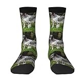 GRatka Crew Socks,Funny Compression Socks Casual Novelty Sports Socks 40CM Long For Unisex,English Setter Lawn Pets Dogs English Setter