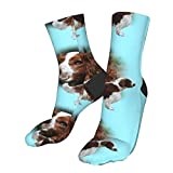Welsh Springer Spaniel Men's Athletic Ankle Socks Cushion Running for Men&Women Cotton Crew