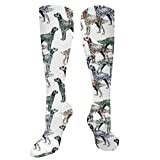 351 Boot Socks English Setters On White Gift Socks Breathable Winter Socks Cool Crazy Crew Socks 50Cm For Christmas, Child, Halloween