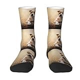 American Staffordshire Terrier Printing, Compression Socks Crew Socks Casual Adult Socks Sports Socks