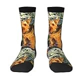 GRatka Crew Socks,Funny Compression Socks Casual Novelty Sports Socks 40CM Long For Unisex,Welsh Terrier Art Print