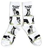 Ladies Border Collie Sheepdog Socks 4-8 UK / 37-42 Eur / 6-10 US White