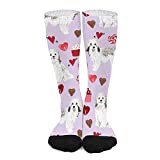 Mens Socks 50Cm Havanese Day Love Cupcakes Hearts Dog Breed Long Socks Multi Coloured Patterned Socks Novelty Ladies Socks For Winter, Hiking, Mens