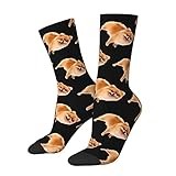 Zltegako Pomeranian Love Socks, Funny Novelty Crew Socks for Men Women Teen, White, One Size