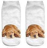 FUREVER GIFTS Cocker Spaniel Dog Unisex Trainer Socks One Size Polyester 1 Pair
