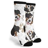 934 Novelty Work Socks Dog Paws Bernese Mountain Dog Walking Socks Anti Bliste Athletic Socks Unisex For Camping Yoga Climbing 40Cm