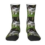 English Setter Lawn Pets Dogs English Setter, Compression Socks Crew Socks Casual Adult Socks Sports Socks