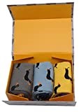 LilyRosa Mens Dachshund Socks, Sausage Dog Boys Men 7-11, Bamboo Mix Gift Box 3 Pairs