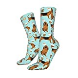 Sports Socks Bloodhound Fabric Bloodhound Fabric Dogs Office Socks Comfortable Athletic Socks Soft Trainer Socks For Women Everyday Runing 40Cm