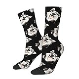 KWQDOZF Siberian Husky Socks Funny Novelty Crew Socks Gift for Men Women Teen