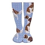 Sport Socks Welsh Springer Spaniels Crew Athletic Socks Casual Crew Socks Funny Calf Socks For Hiking Work Travel 50cm