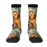 BeNtli Crew Socks, Compression Socks Casual Novelty Sports Socks 40CM Long For Unisex Welsh Terrier Art Print