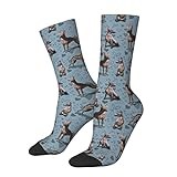 Long Socks 40cm Mexican Hairless Xoloitzcuintle Dog Work Socks Wicking Socks Fancy Novelty Crew Socks For Womens, Teenager, Hiking