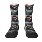 ButxeT Crew Socks,Compression Socks Casual Novelty Sports Socks 40CM Long For Unisex,Newfoundland Dog