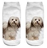 FUREVER GIFTS Havanese Dog Unisex Trainer Socks One Size Polyester 1 Pair