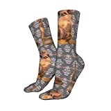 Trainer Socks Redbone Coonhound Dog Sports Socks Warmer Running Socks Anti Sweat Athletic Socks For Men Baseball Camping 40Cm