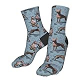 Mexican Hairless Xoloitzcuintle Dog Men's Athletic Ankle Socks Cushion Running for Men&Women Cotton Crew