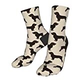 Office Socks Boykin Spaniel Dog Dogs Boykin Spaniels Dog Design Walking Socks Soft Men’S Socks Casual Trainer Socks For Hiking Walking Climbing 40Cm
